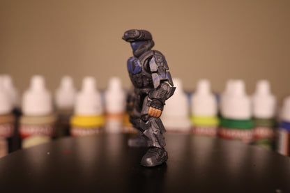 Romeo custom