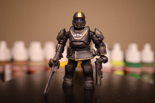 Helldiver custom