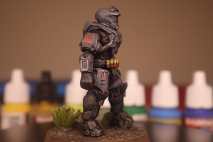 Custom Recon Spartan