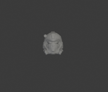 Gears of War helmets
