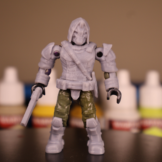 Cayde 6 conversion kit