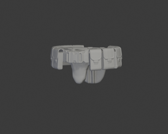 NMPD belt