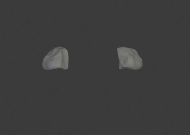 NCR Ranger shoulder pads