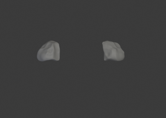 NCR Ranger shoulder pads